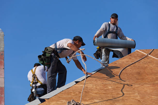 Best Roof Gutter Cleaning  in Violet, LA